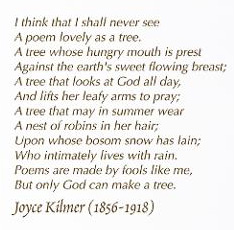 joyce_kilmer_tree_poem.jpg